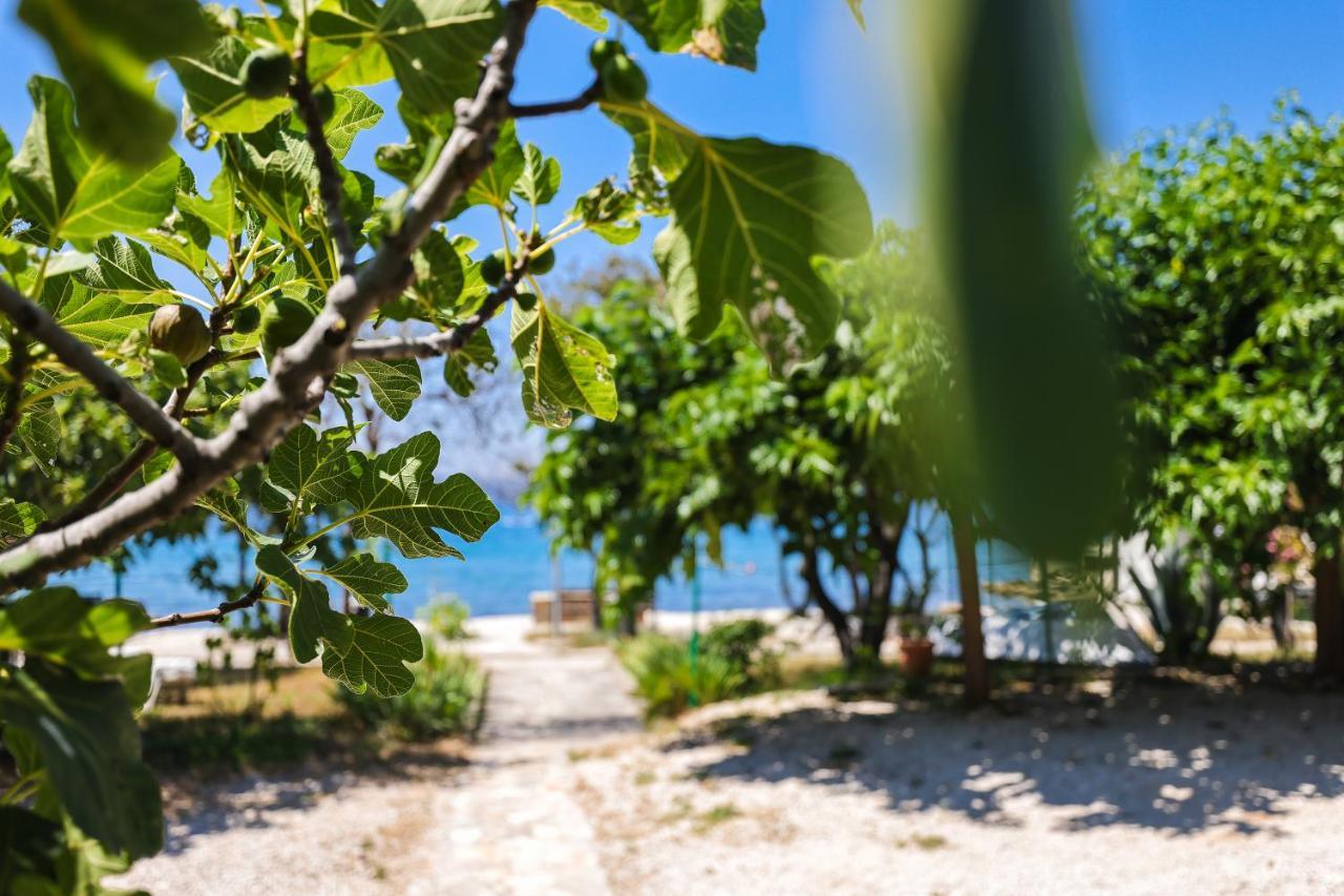 Apartments Malic Petrcane Εξωτερικό φωτογραφία