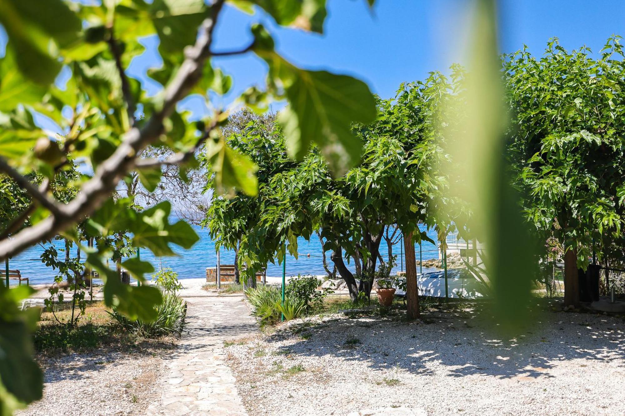 Apartments Malic Petrcane Εξωτερικό φωτογραφία